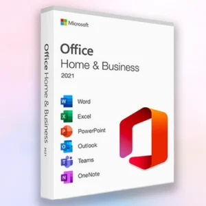 Microsoft Office License